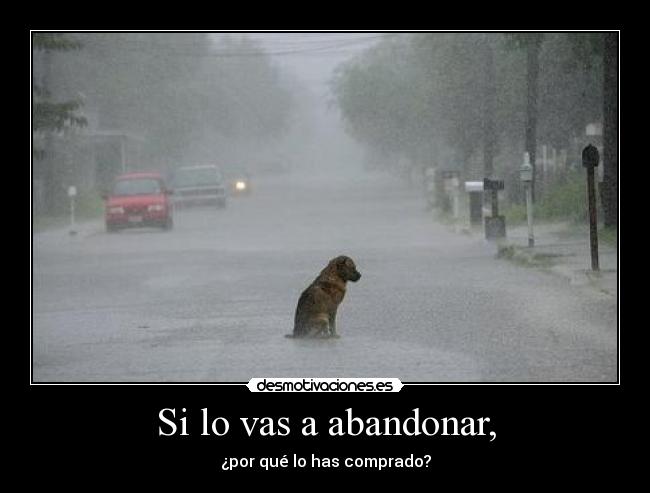 Si lo vas a abandonar, -