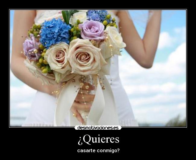 ¿Quieres - 