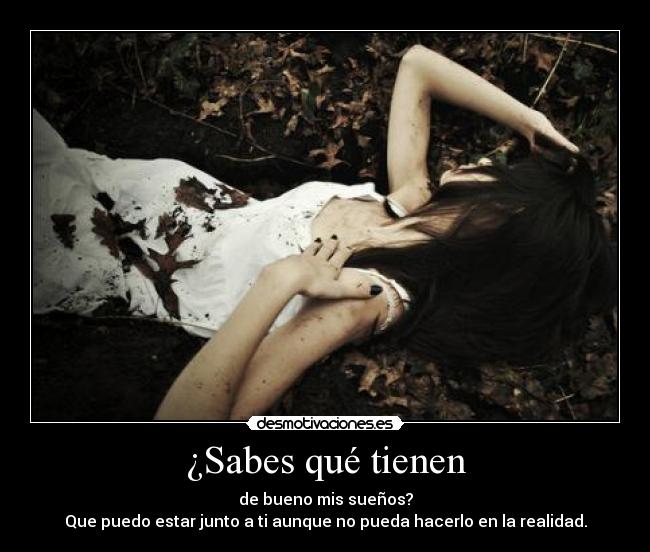 carteles interpretenlo como distancia como una cobarde enamorada xdd como quieran - bollicao desmotivaciones