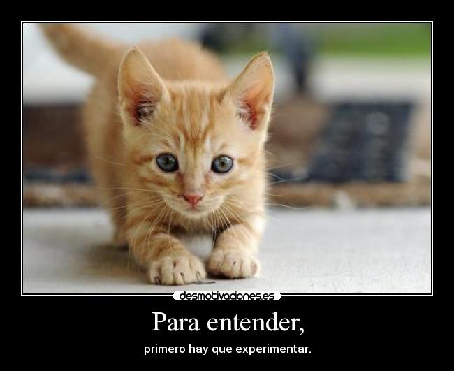 Para entender, - primero hay que experimentar.