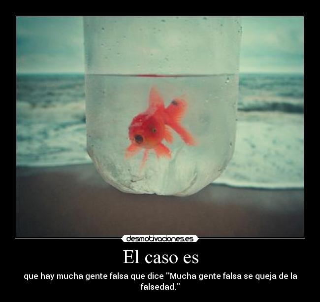 El caso es - que hay mucha gente falsa que dice Mucha gente falsa se queja de la falsedad.