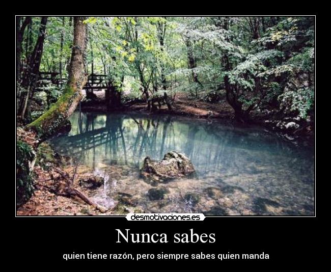 Nunca sabes - 