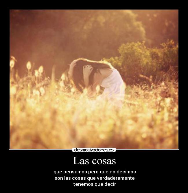Las cosas -  que pensamos pero que no decimos
 son las cosas que verdaderamente
 tenemos que decir