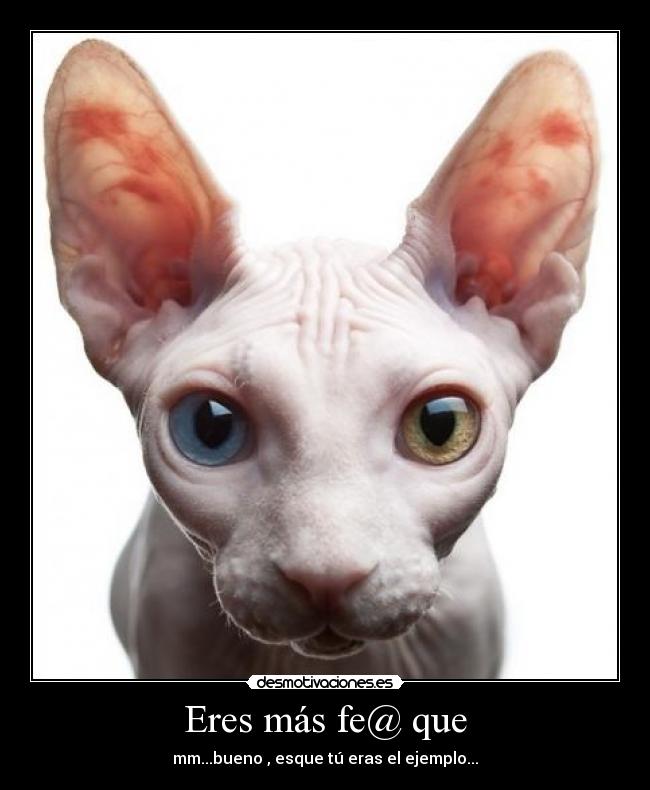 Eres más fe@ que - 
