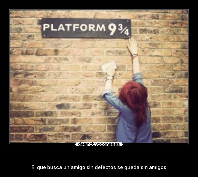   - El que busca un amigo sin defectos se queda sin amigos.