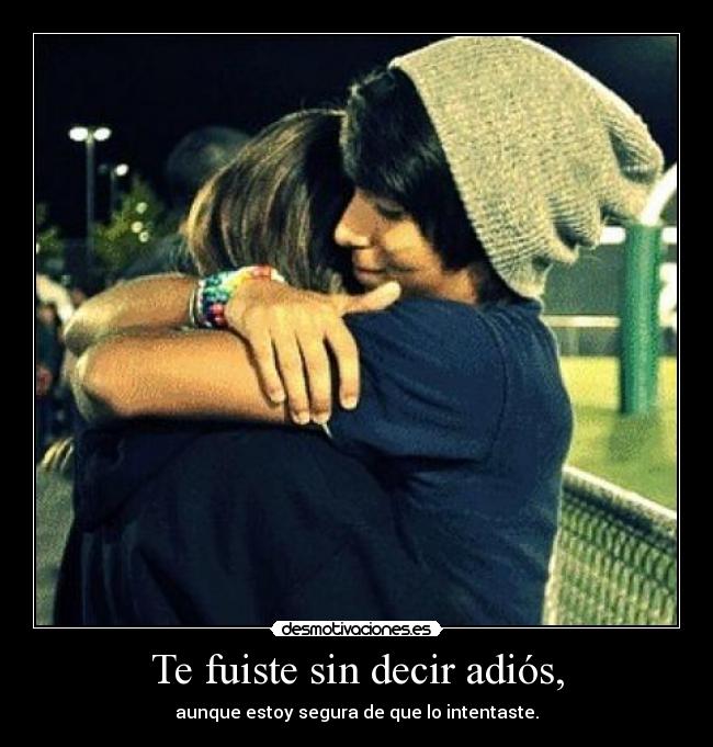 Te fuiste sin decir adiós, -