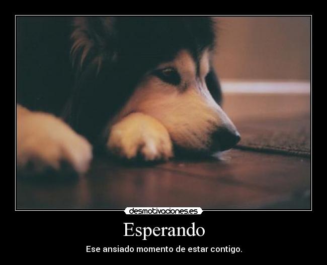 carteles bulma272 open your mind desmotivaciones