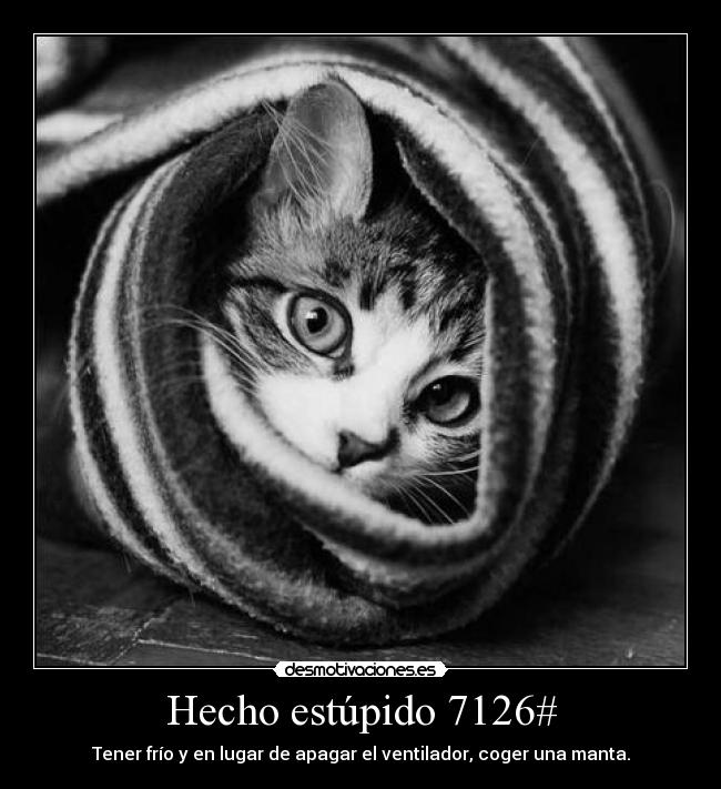 Hecho estúpido 7126# -