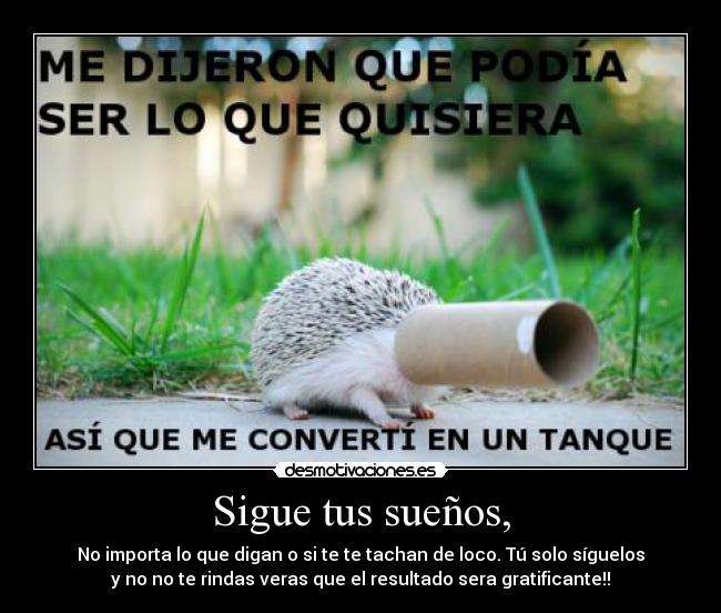 Sigue tus sueños, - No importa lo que digan o si te te tachan de loco. Tú solo síguelos
y no no te rindas veras que el resultado sera gratificante!!