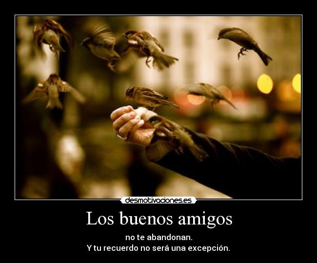 Los buenos amigos - 
