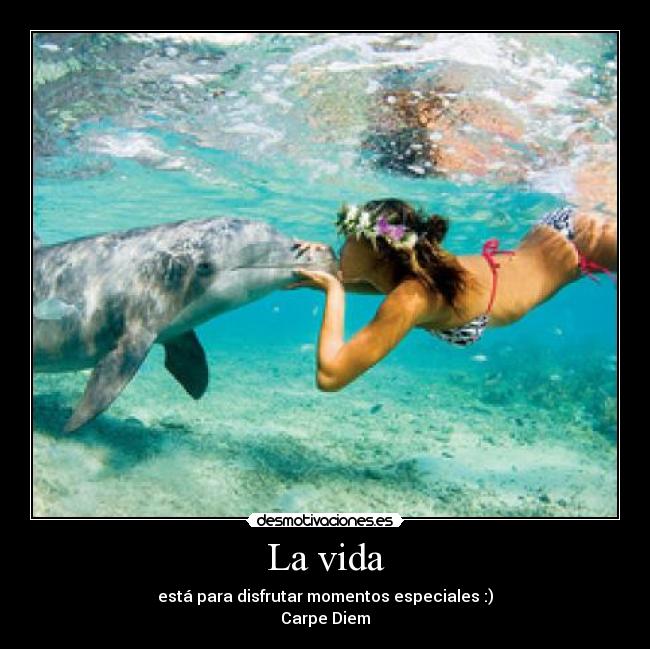 La vida - está para disfrutar momentos especiales :)
Carpe Diem
