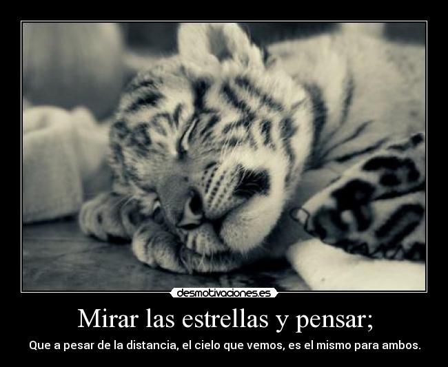 Mirar las estrellas y pensar; - 