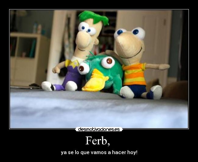 Ferb,  - ya se lo que vamos a hacer hoy!