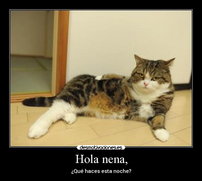 Hola nena, - 