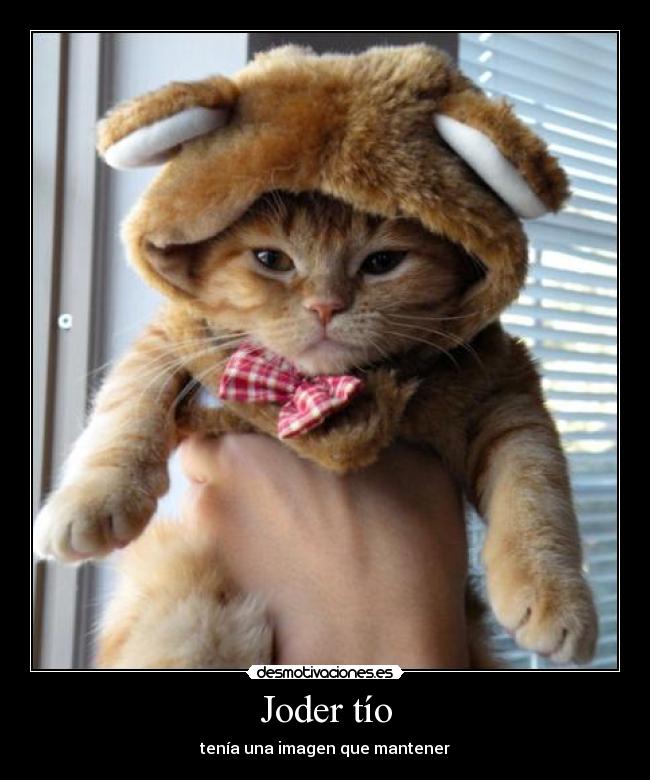 Joder tío - tenía una imagen que mantener