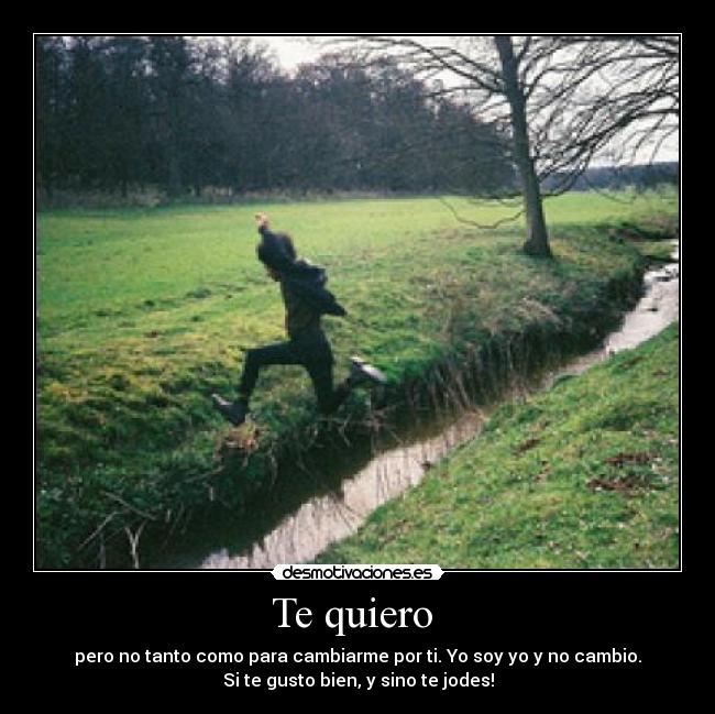 Te quiero  - pero no tanto como para cambiarme por ti. Yo soy yo y no cambio.
Si te gusto bien, y sino te jodes!