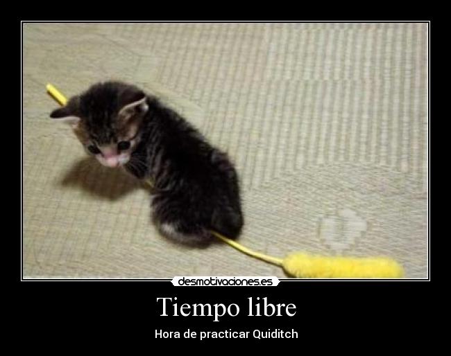 Tiempo libre - Hora de practicar Quiditch