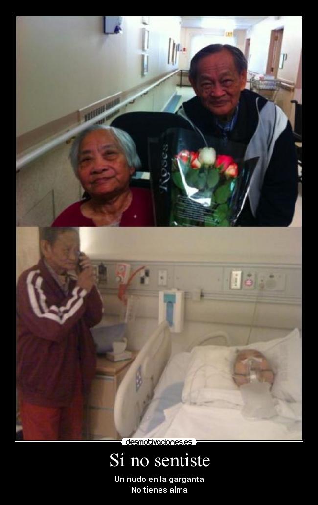 Si no sentiste - Un nudo en la garganta
No tienes alma