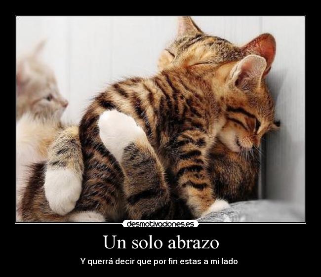 Un solo abrazo -