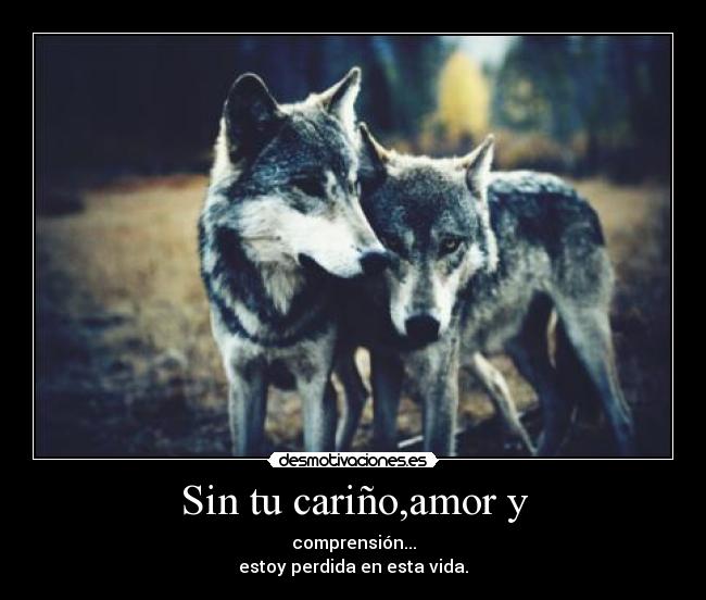 SIN TU CARINO sin tu carino: