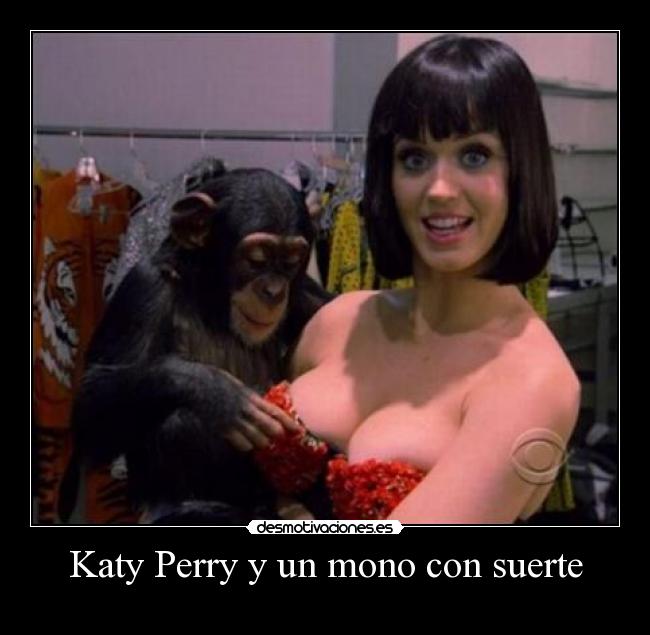 Katy Perry y un mono con suerte - 