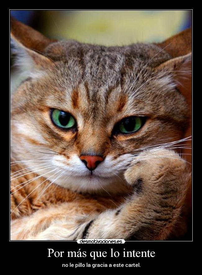 Por más que lo intente - no le pillo la gracia a este cartel.