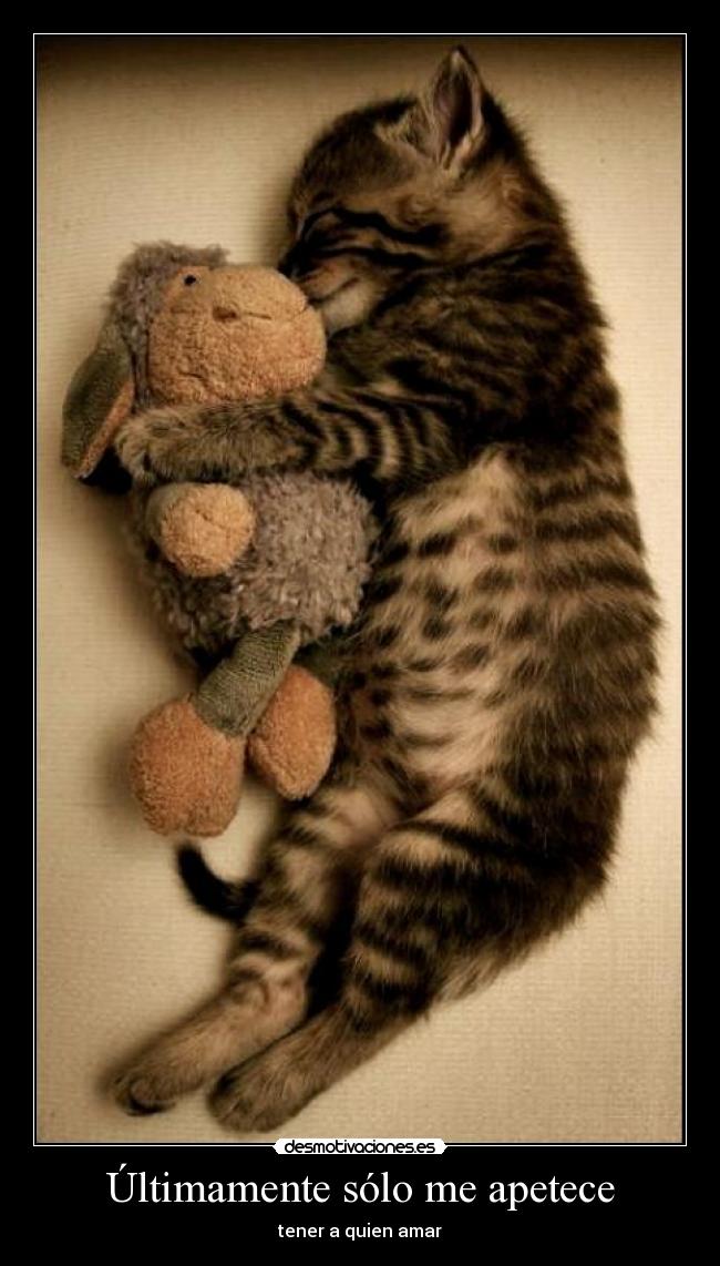 Últimamente sólo me apetece - tener a quien amar