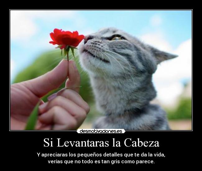 Si Levantaras la Cabeza -