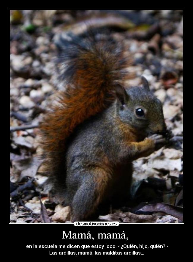 Mamá, mamá, -