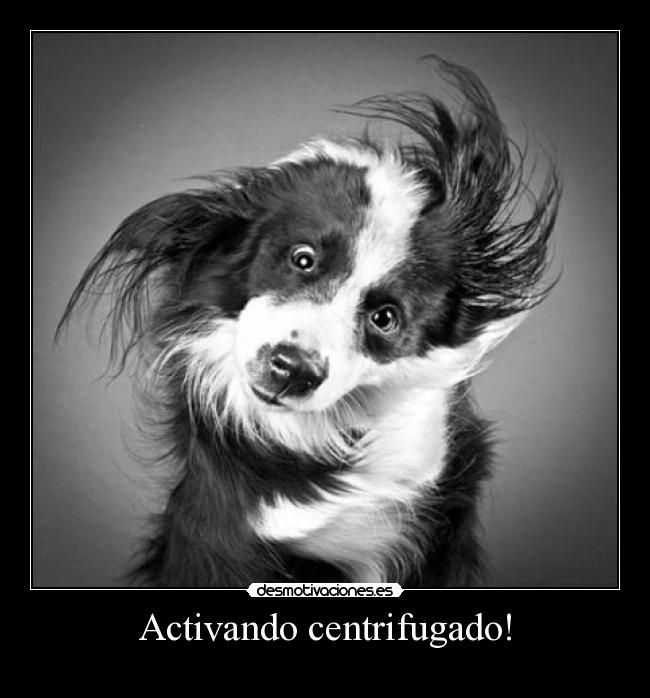 Activando centrifugado! - 