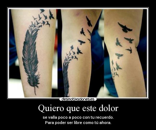 Quiero que este dolor - se valla poco a poco con tu recuerdo.
Para poder ser libre como tú ahora.