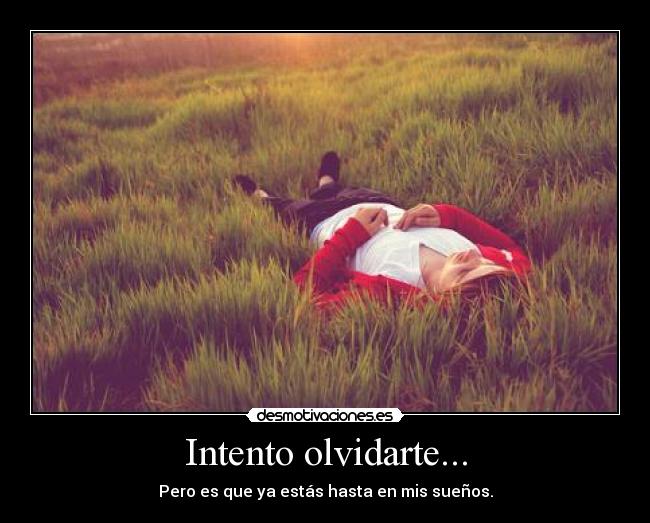 Intento olvidarte... - Pero es que ya estás hasta en mis sueños.
