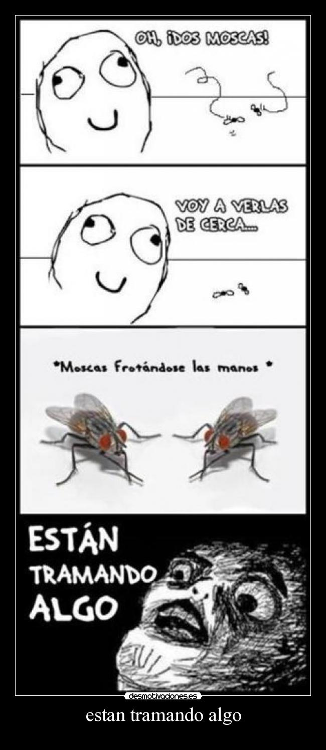 estan tramando algo -