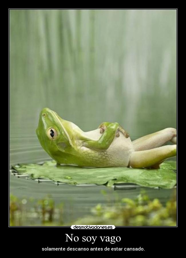 No soy vago -