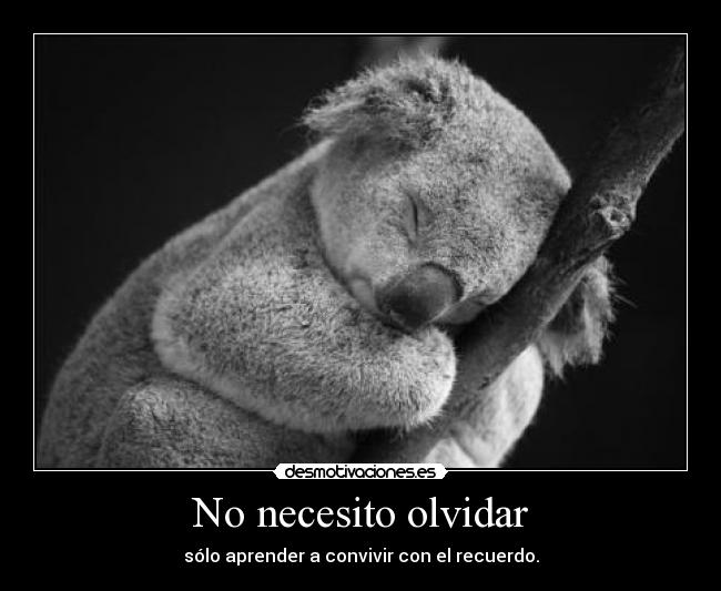 No necesito olvidar -