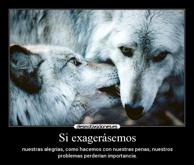 carteles mistery0 desmotivacioneses frase anatole france desmotivaciones