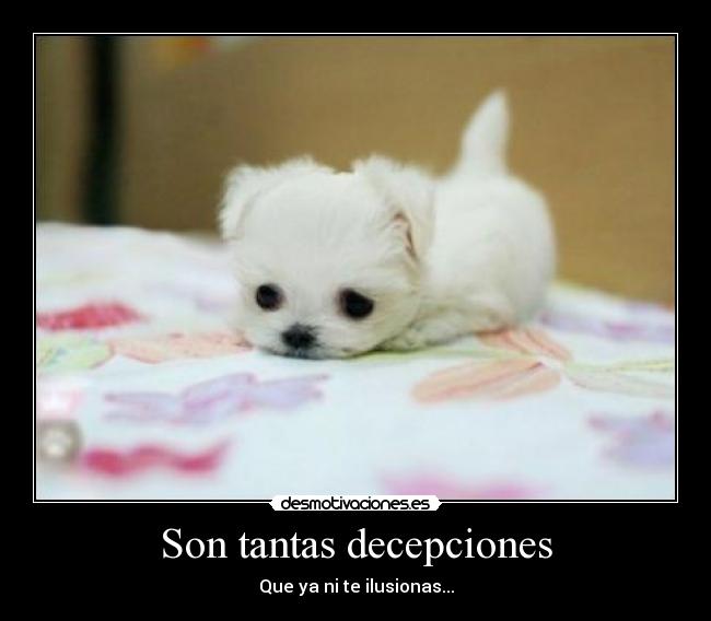 carteles decepcion desmotivaciones