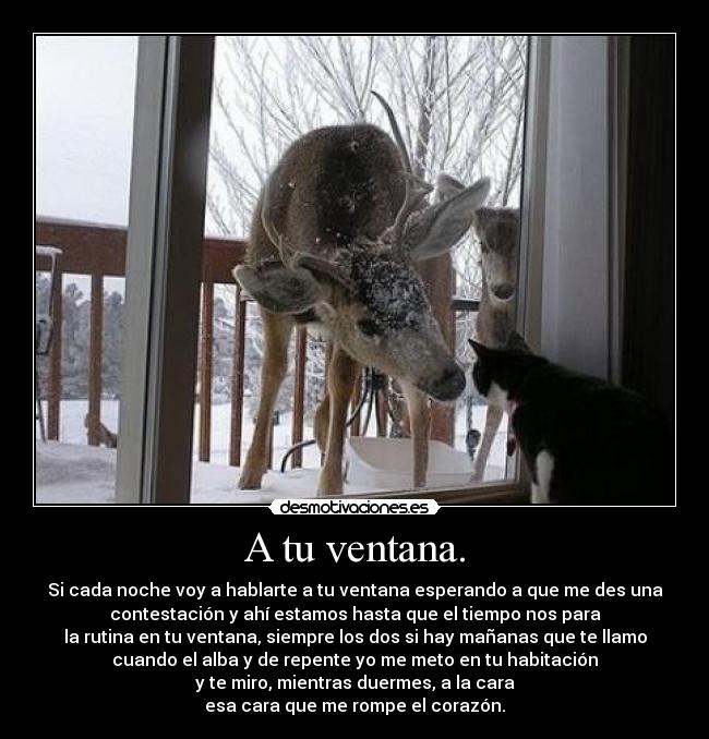 A tu ventana. -