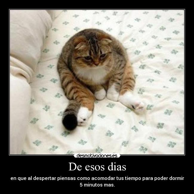 De esos dias - en que al despertar piensas como acomodar tus tiempo para poder dormir
5 minutos mas.