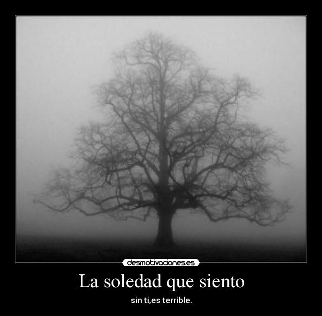 carteles soledad necesito lado bollicao desmotivaciones