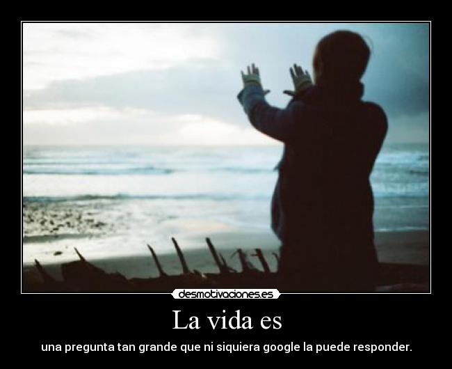 La vida es - 