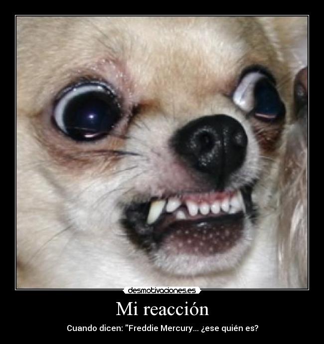 Mi reacción - Cuando dicen: Freddie Mercury... ¿ese quién es?