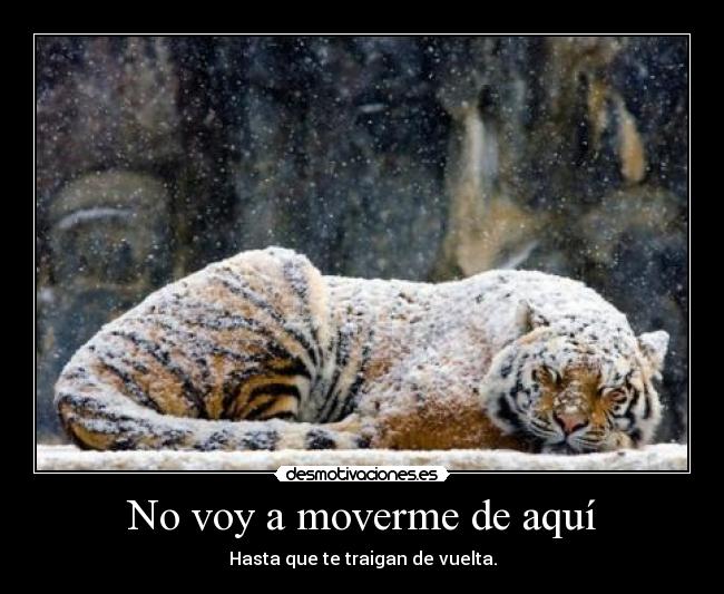 carteles juanna uu desmotivaciones