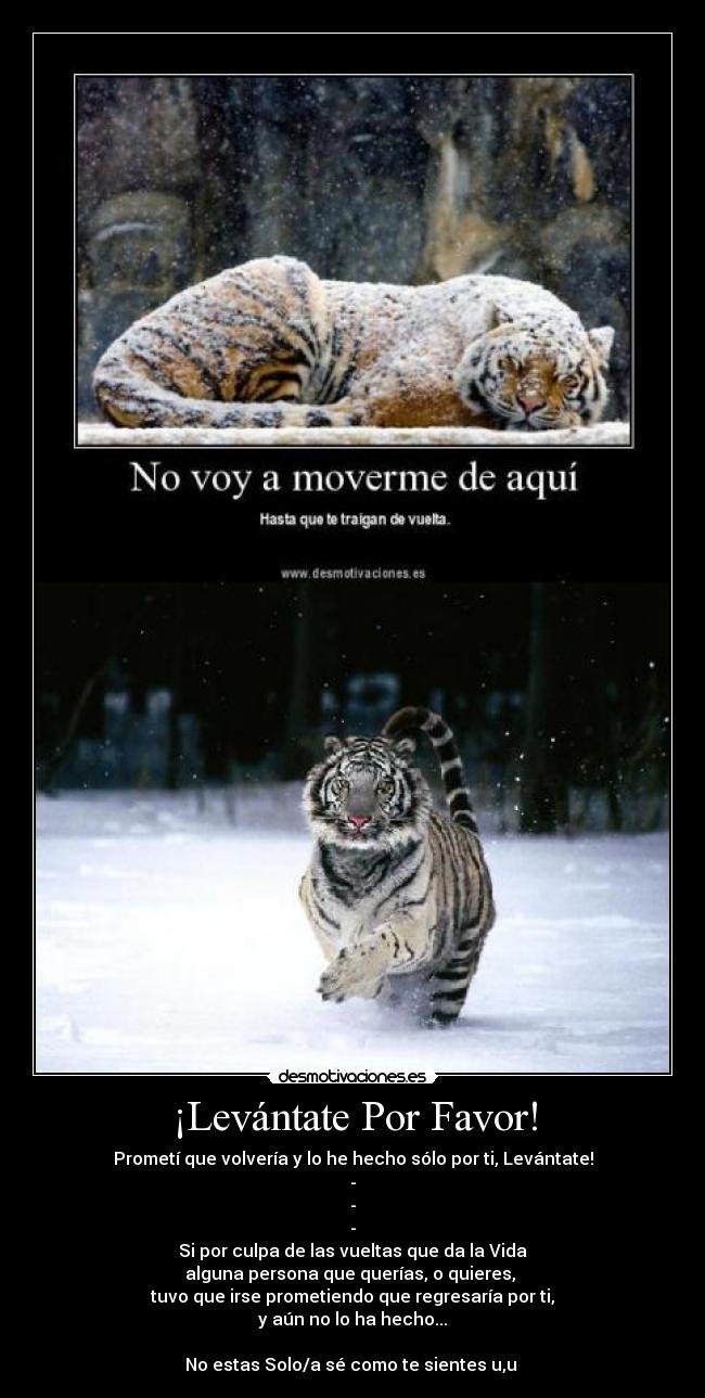 ¡Levántate Por Favor! - 
