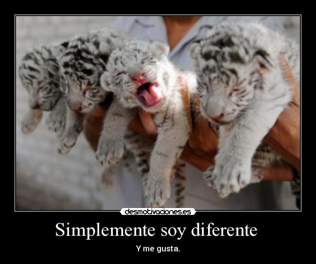 Simplemente soy diferente - Y me gusta.