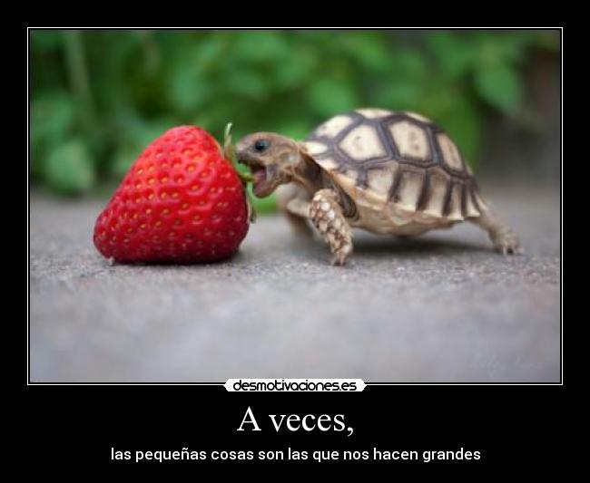 carteles vida asin desmotivaciones