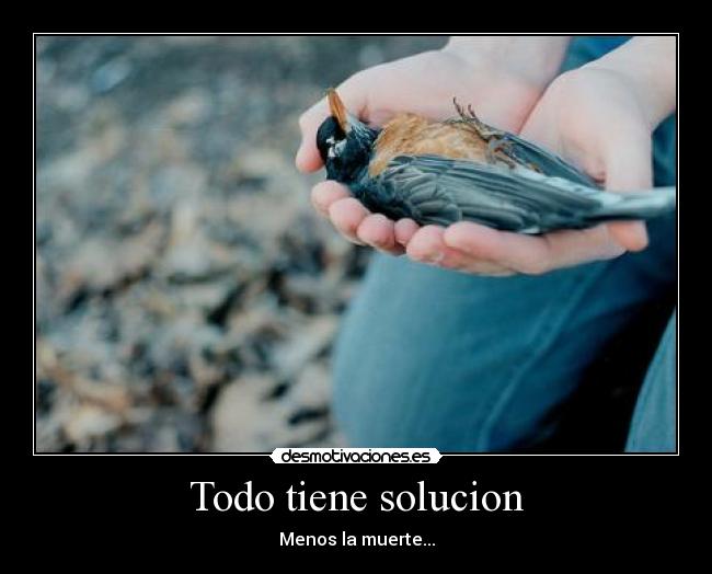 carteles braiithon desmotivaciones