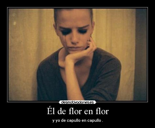 Él de flor en flor -