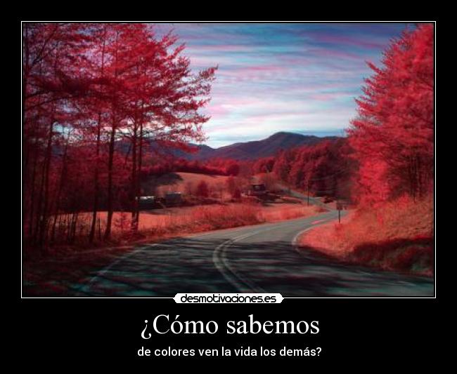¿Cómo sabemos - de colores ven la vida los demás?