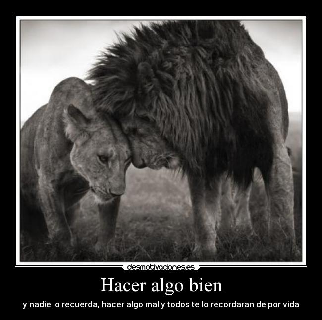 Hacer algo bien - 